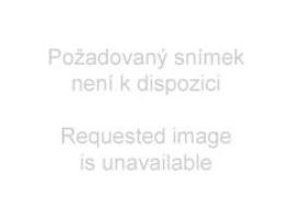 060301_837421000.jpg
