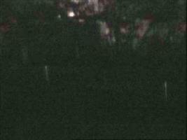 185401_417323964.jpg