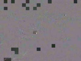193901_845179929.jpg