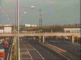 195501_540912905.jpg