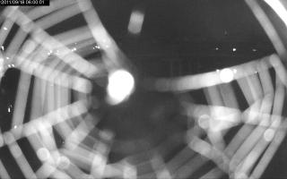060001_637193170.jpg