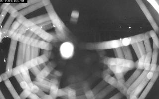 060701_074841695.jpg