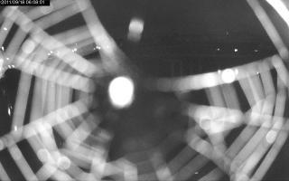 060801_825406975.jpg