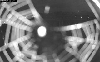 061301_865114796.jpg