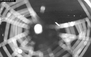 061401_977403371.jpg