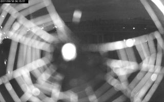 061501_822770752.jpg
