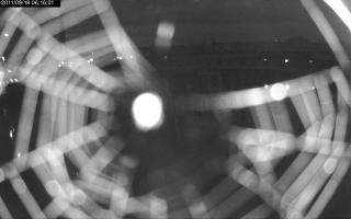 061601_981552476.jpg