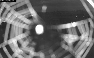061701_736221593.jpg