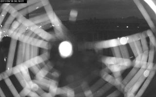 061801_611782154.jpg