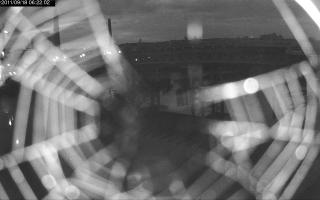 062202_316789252.jpg