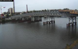 184501_462498071.jpg