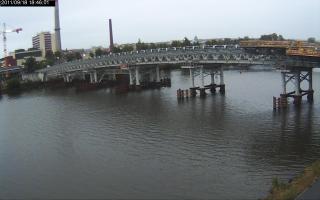184601_458877061.jpg