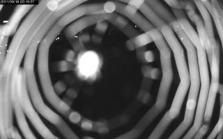 201901_370127529.jpg
