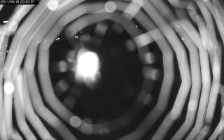 202001_569715726.jpg