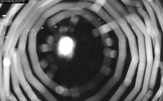 202701_946980790.jpg