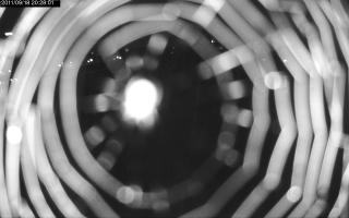 202801_794258446.jpg