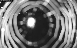 202901_849049813.jpg