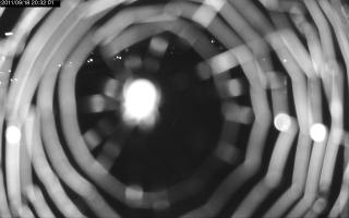 203201_408515089.jpg