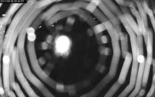 203401_307032496.jpg