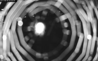 203501_460857938.jpg