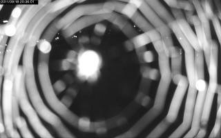 203601_152086898.jpg