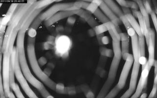 204001_306326245.jpg