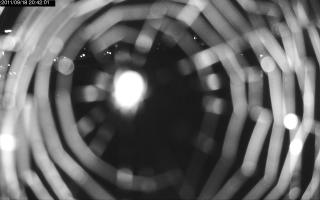 204201_444789668.jpg