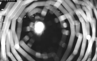 204401_593480281.jpg