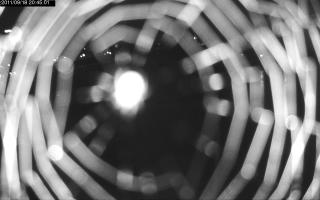 204501_669403618.jpg