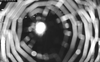 204901_288076464.jpg