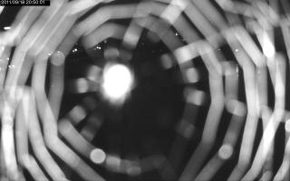 205001_568240842.jpg