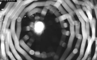 205201_721292922.jpg