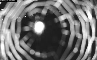 205301_385857913.jpg