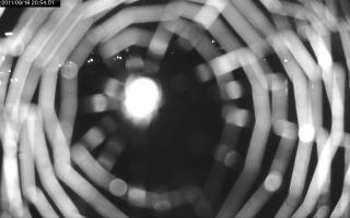 205401_824123508.jpg