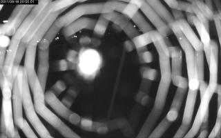 205501_314583282.jpg