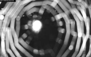 205701_776876742.jpg