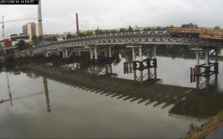 145901_549007488.jpg