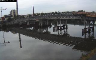 175101_445446324.jpg