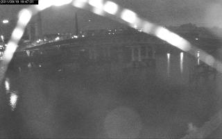 194701_412620017.jpg