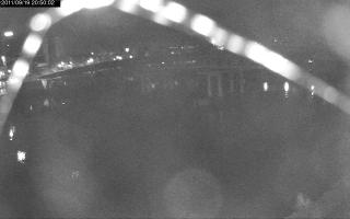 205002_295780094.jpg