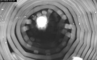193101_417482217.jpg
