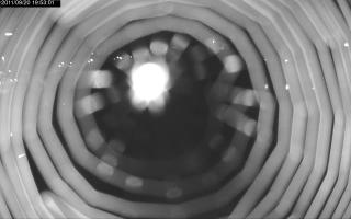 195301_529616058.jpg