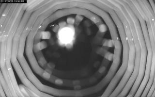 195901_796997955.jpg