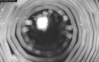 200901_596881487.jpg