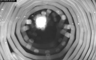 202001_731044643.jpg