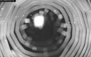 202101_336286676.jpg