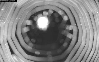 203901_656545983.jpg
