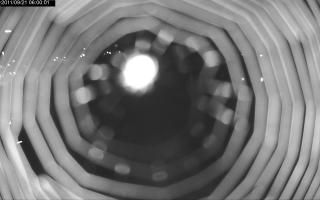 060001_537523987.jpg