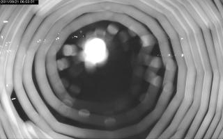 060301_831915686.jpg