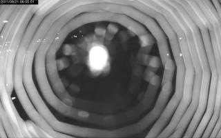 060501_475018036.jpg